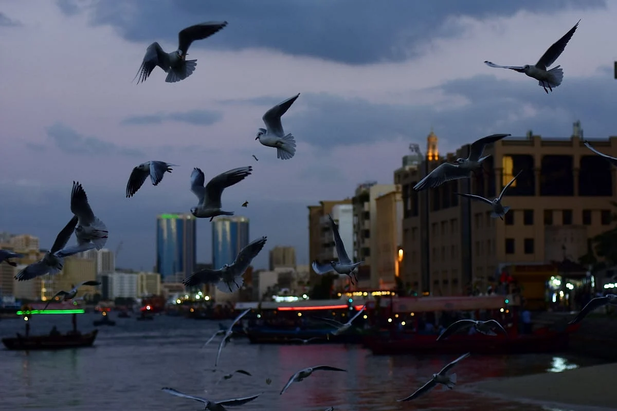 UAE weather: Fair skies, cool temperatures ahead after unstable conditions end