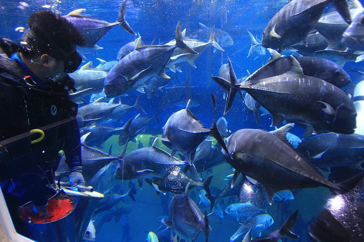 Dubai: 10 attractions that will remain open for summer in 2025