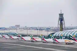 UAE-India airfares fall nearly 30%; July return flights start from Dh1,029