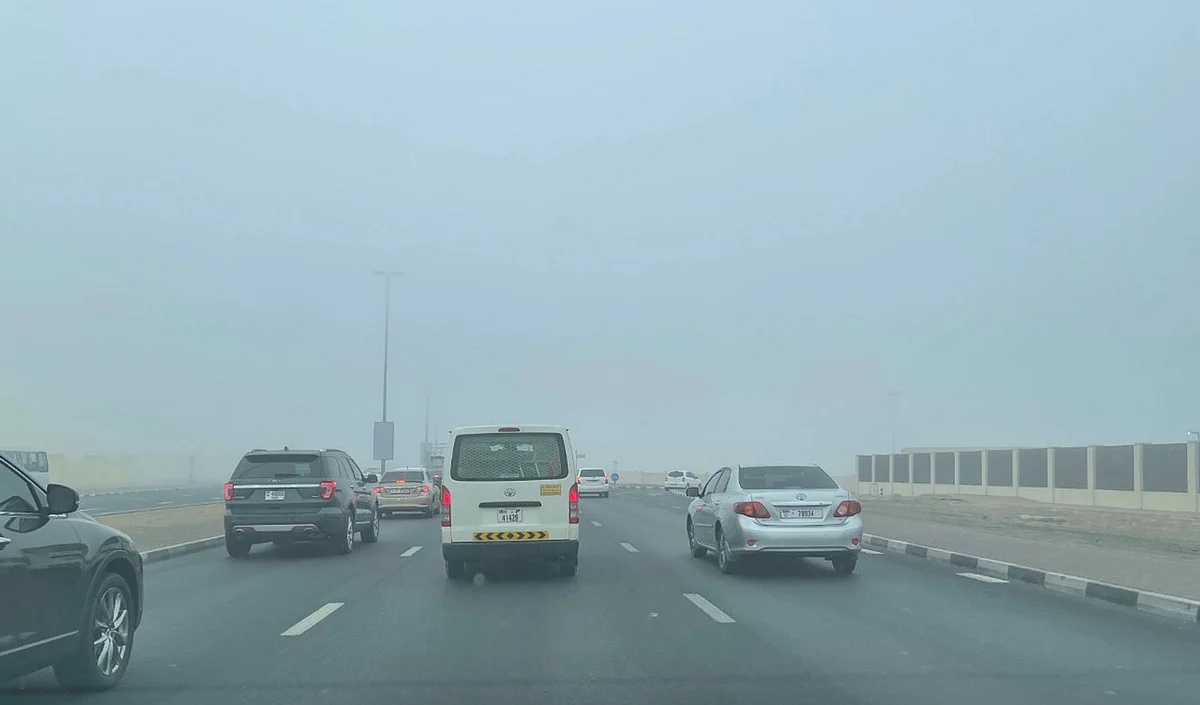 UAE weather: Red alert issued for fog; speed reduction activated in Abu Dhabi