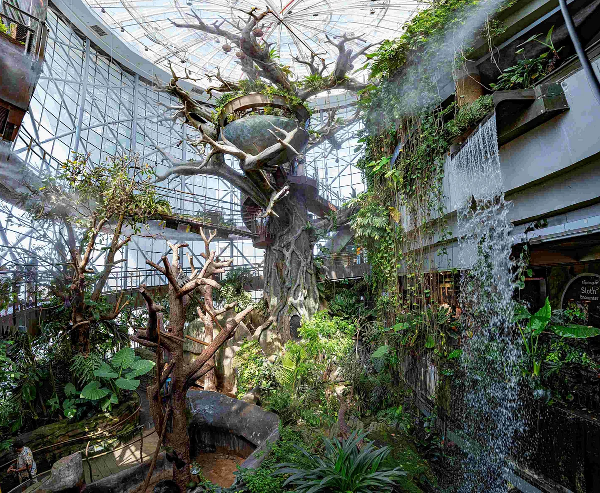 Green Planet