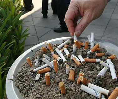 does chewing tobacco affect your immune system How Does Smoking Affect Gum Health?