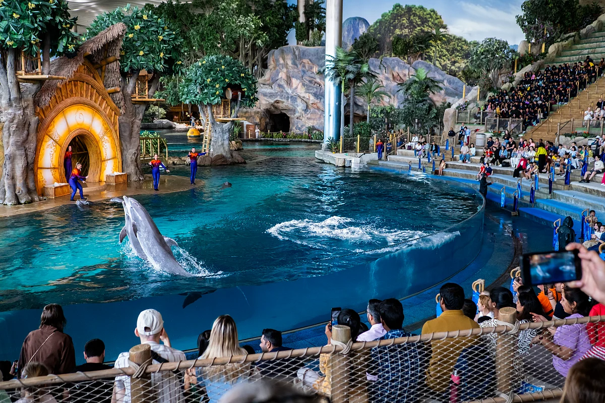 Abu Dhabi tourism surges to record high as Indian visitor numbers jump