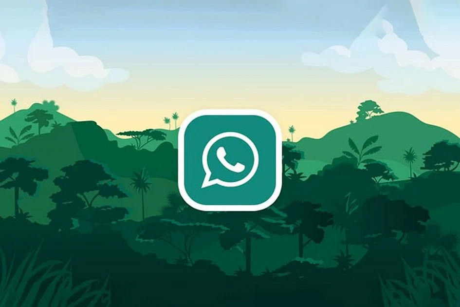 WhatsApp to introduce usernames? Here's what you need to know
