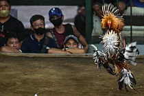 缩略图