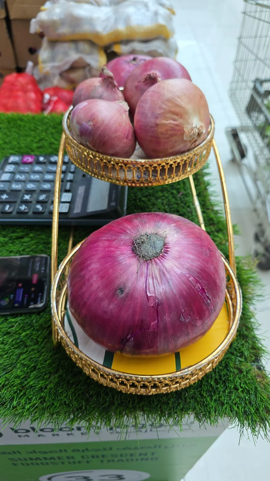 Look: Giant red onion, size of baby's head, arrives in Dubai