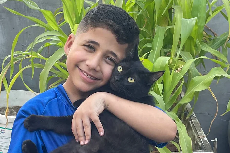 Watch: Meet 8-year-old in Gaza who rescues cats with 'nowhere to go'
