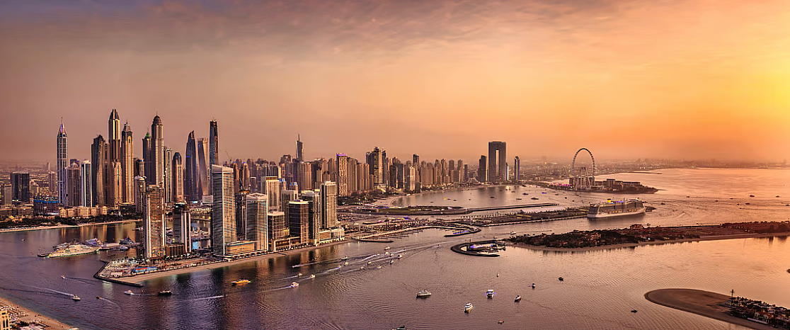 Dubai: New app to help officials report public cleanliness violations