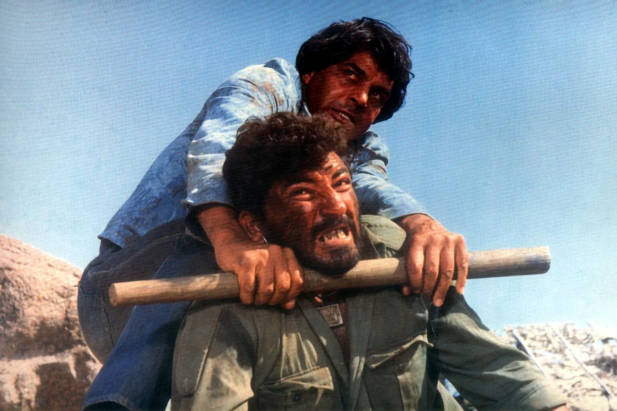 شولاي: بعد 40 عامًا، لا يزال يعرض