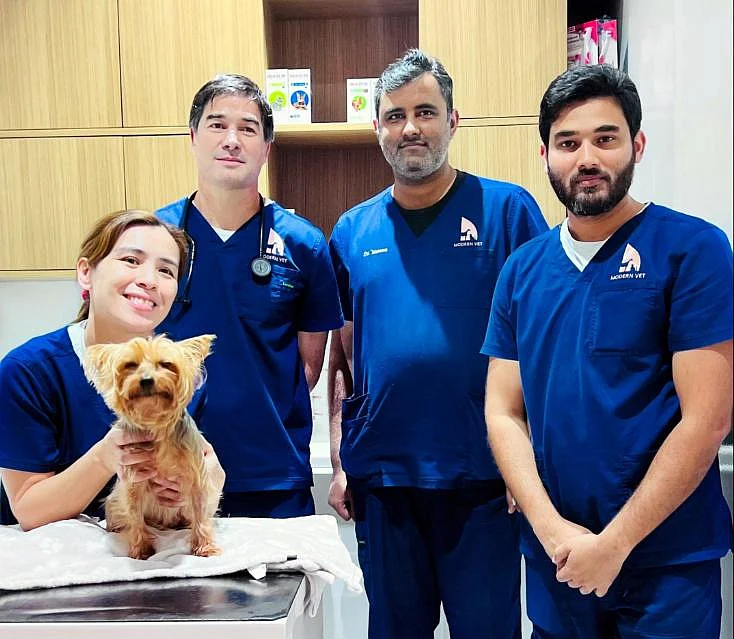 First minimally invasive cardiac surgery for pets in the Middle East
