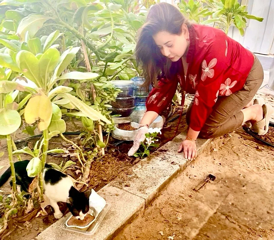 Khaleej Times Road Safety