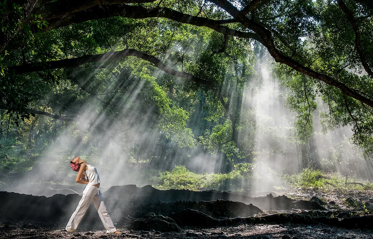 Ghaf Woods, Masaar: How you can live in a forest in the UAE