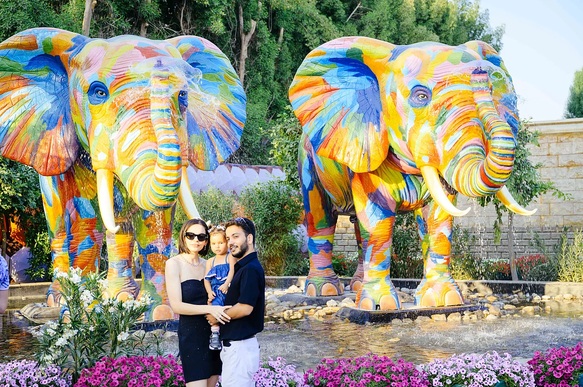 First look at Dubai Miracle Garden 2025: 150 million flowers bloom as tunes ring out