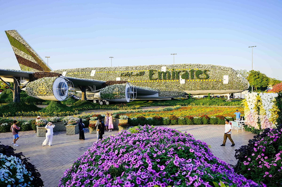 First look at Dubai Miracle Garden 2025: 150 million flowers bloom as tunes ring out