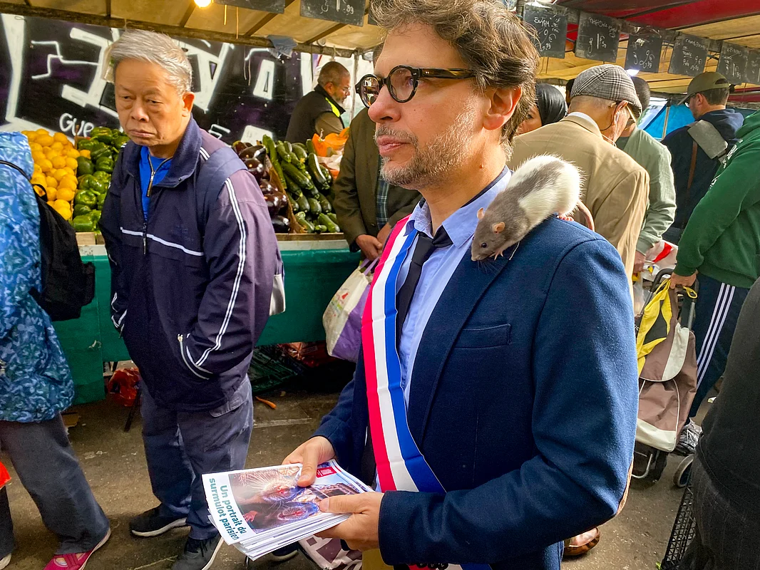 Tails of the city: Paris rats find unlikely political ally | Khaleej Times