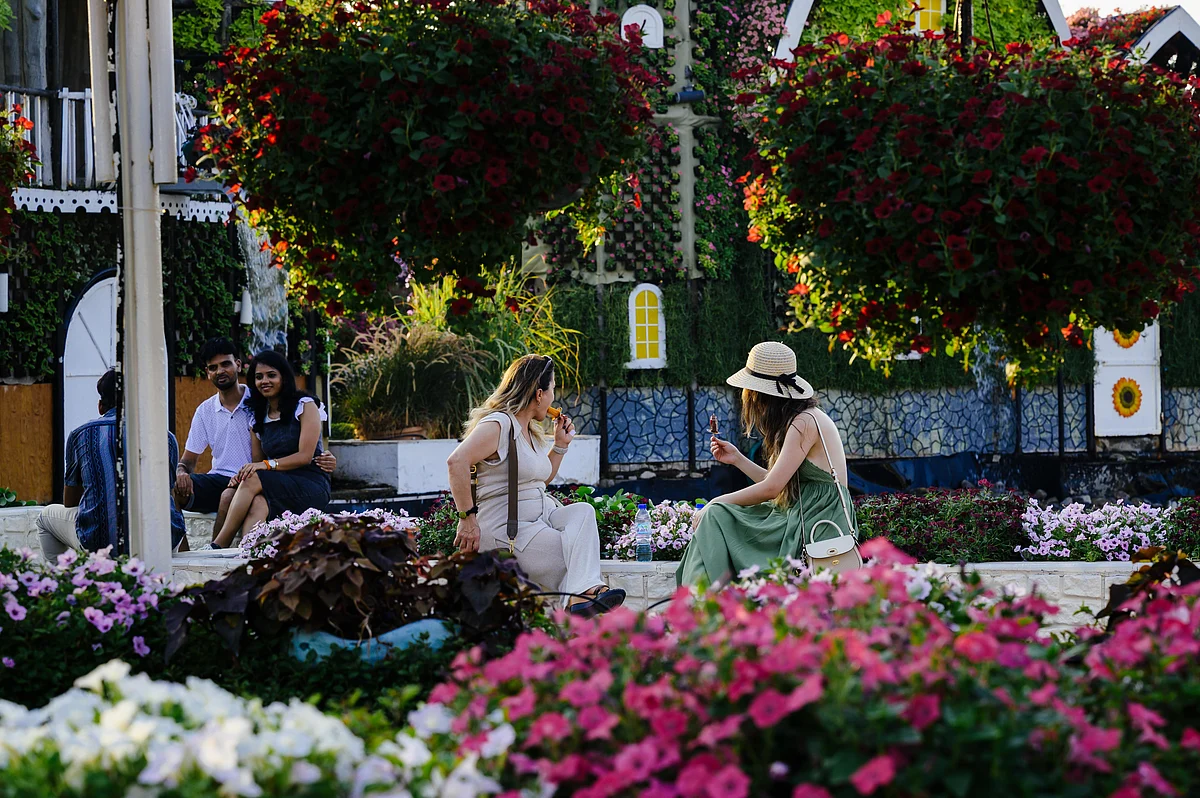 First look at Dubai Miracle Garden 2025: 150 million flowers bloom as tunes ring out