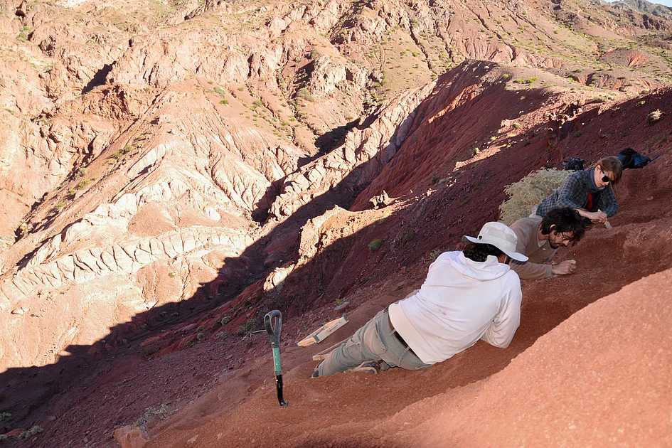 One of world's oldest dinosaurs discovered in Argentina