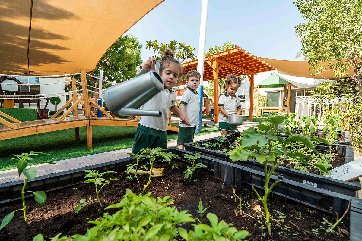 Reggio Emilia Insights: Unleashing Creativity and Empathy in Early ...