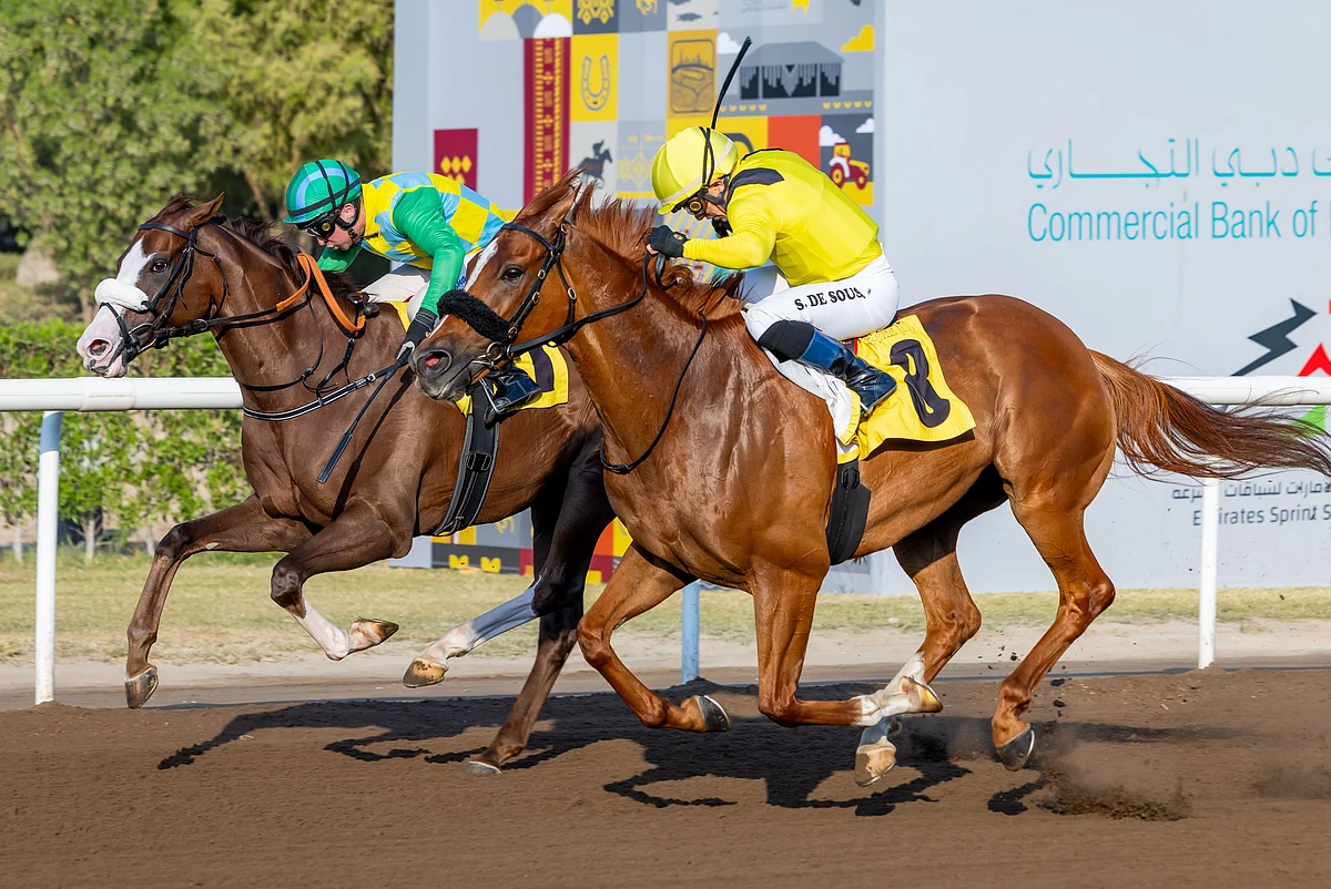 UAE Racing Season: Costa & De Sousa Dominate with Early Wins | Khaleej ...