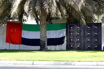 Dubai Ruler calls on residents to raise UAE flag: Your guide to hoisting it