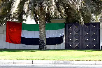 Dubai Ruler calls on residents to raise UAE flag: Your guide to hoisting it