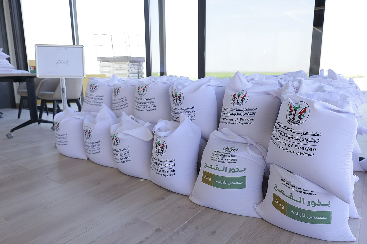 Sharjah: Free organic wheat seeds to be given to farmers under Ruler's ...