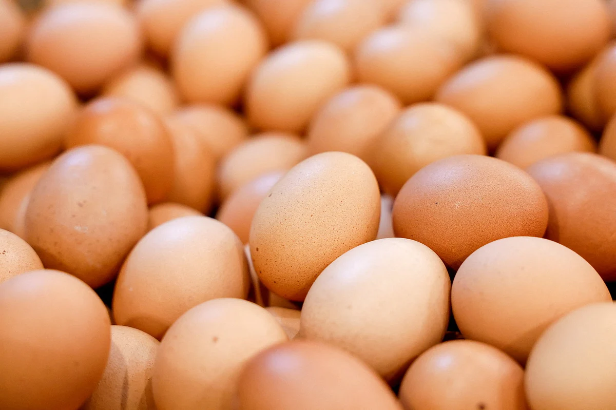 Saudi Arabia bans poultry, eggs from France, Poland over avian disease outbreaks