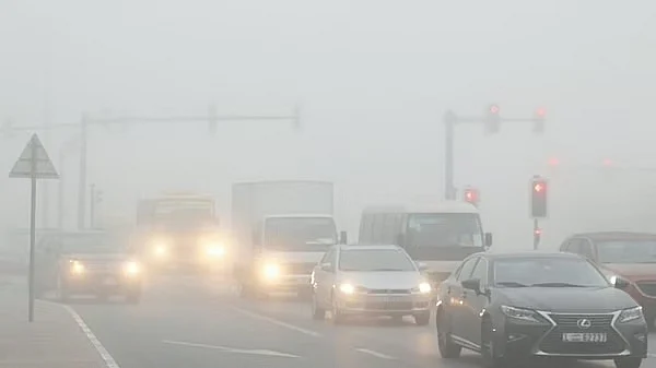UAE weather: Red alert issued for fog; maximum temperature 29°C in Dubai, Sharjah