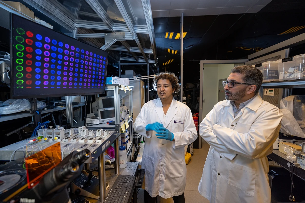 Abu Dhabi: New affordable 3D tumour model eliminates need to test cancer drugs on humans