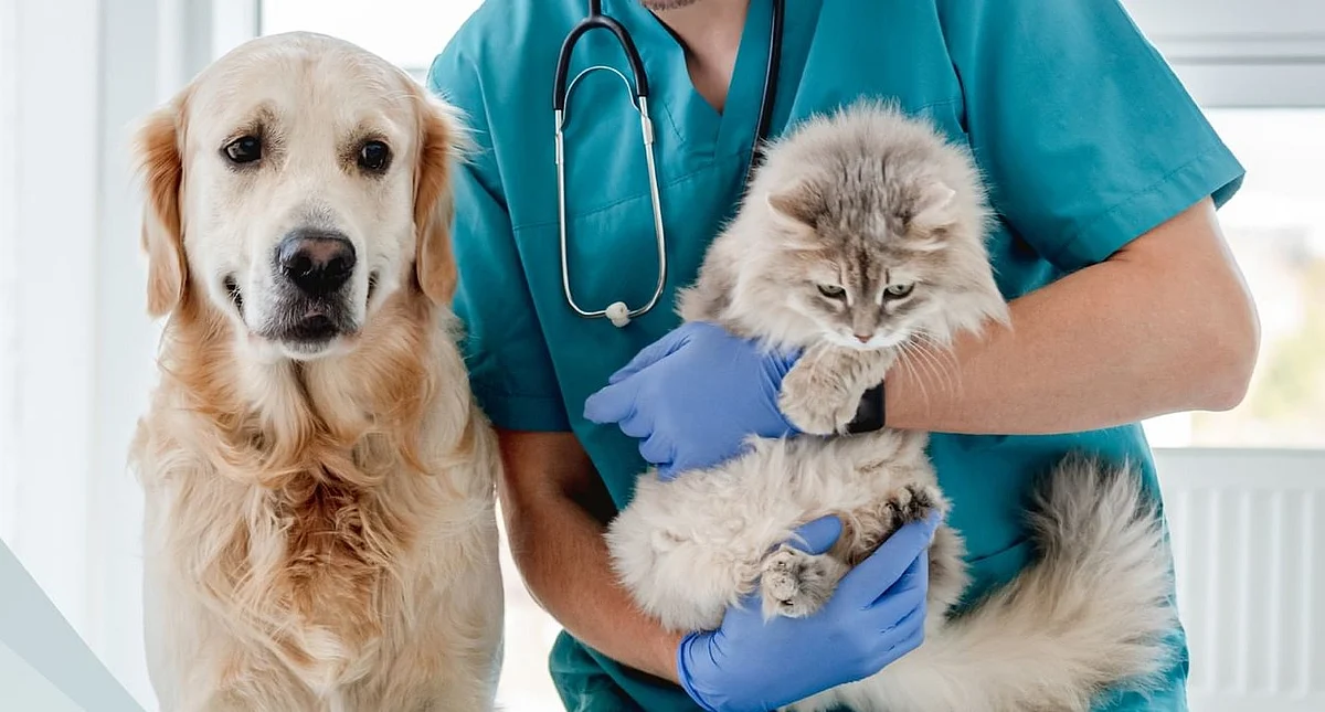 pet food, veterinary medical products, veterinary pet products, pet medicines, pets in uae