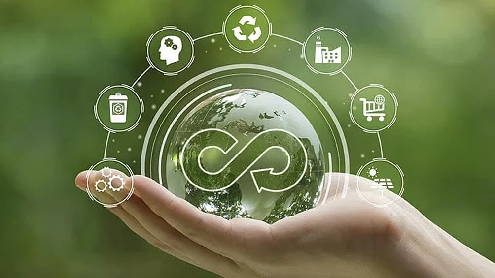 Sustainable living strategies: How the circular economy transforms waste into valuable resources