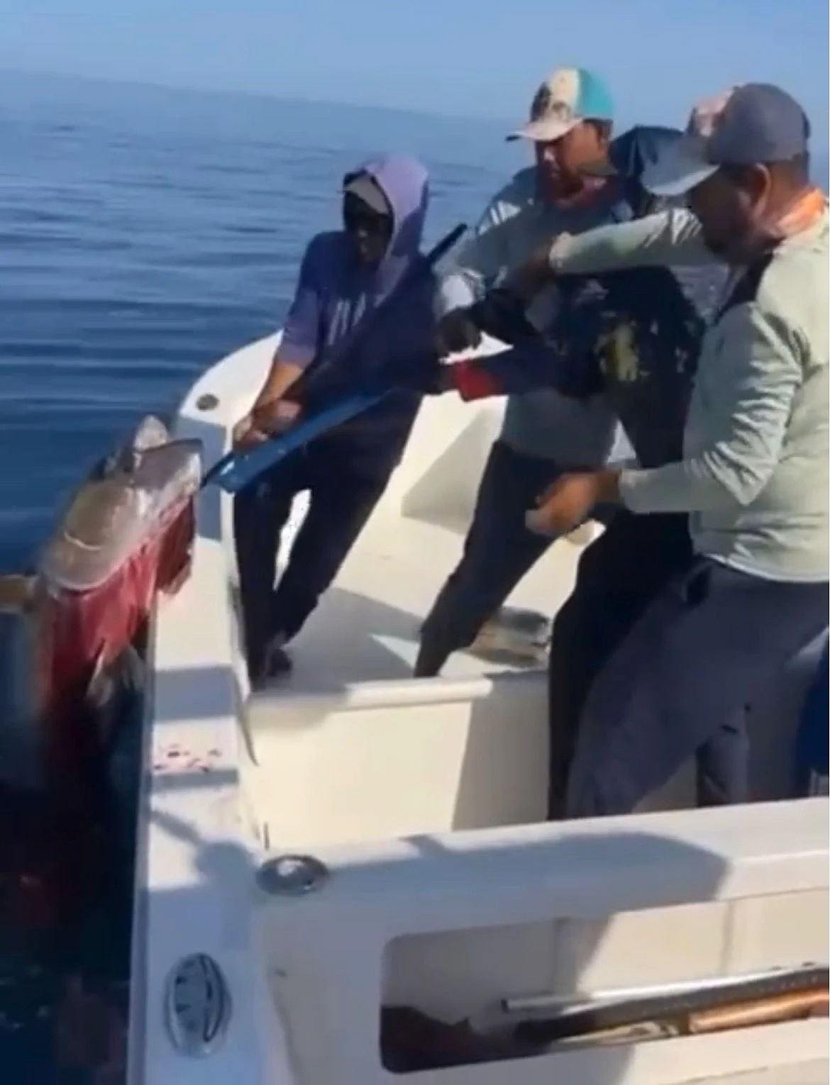 Watch: UAE fishermen haul in massive 137kg tuna off Fujairah coast