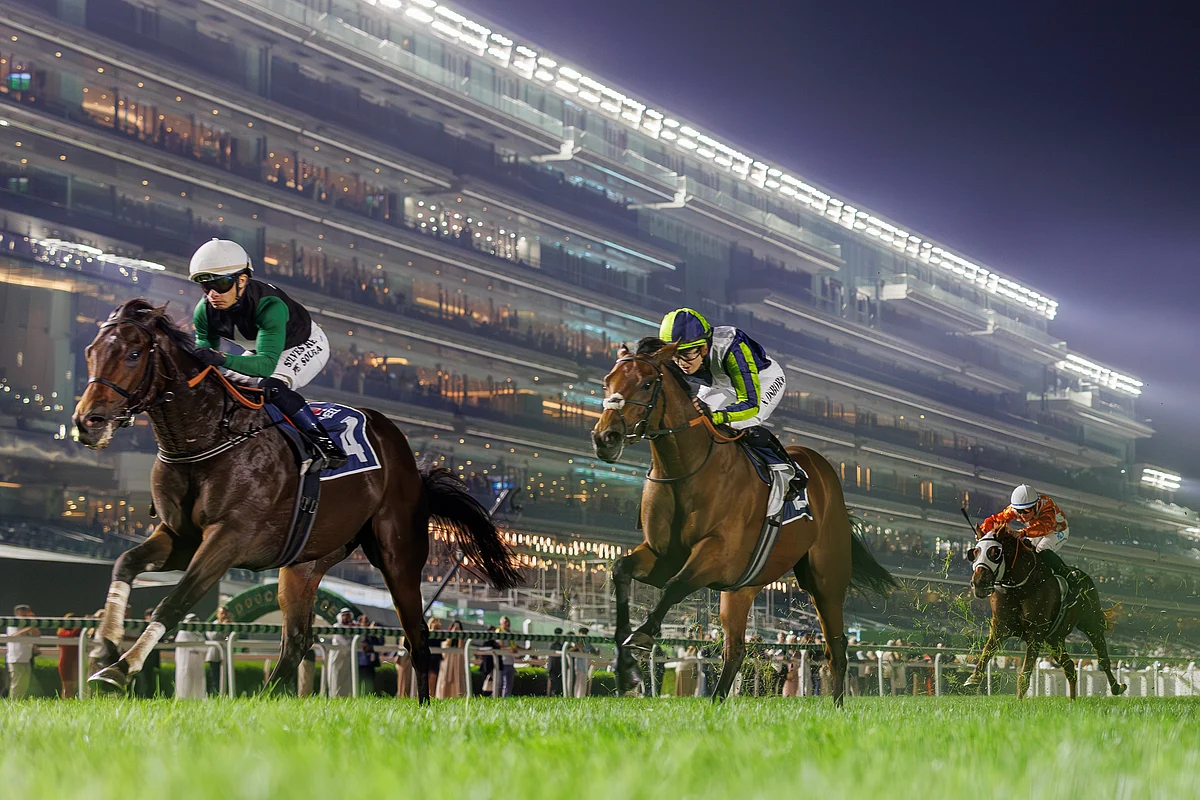 Seemar and O’Shea dominate Dubai Racing Carnival in stunning seven-win showcase