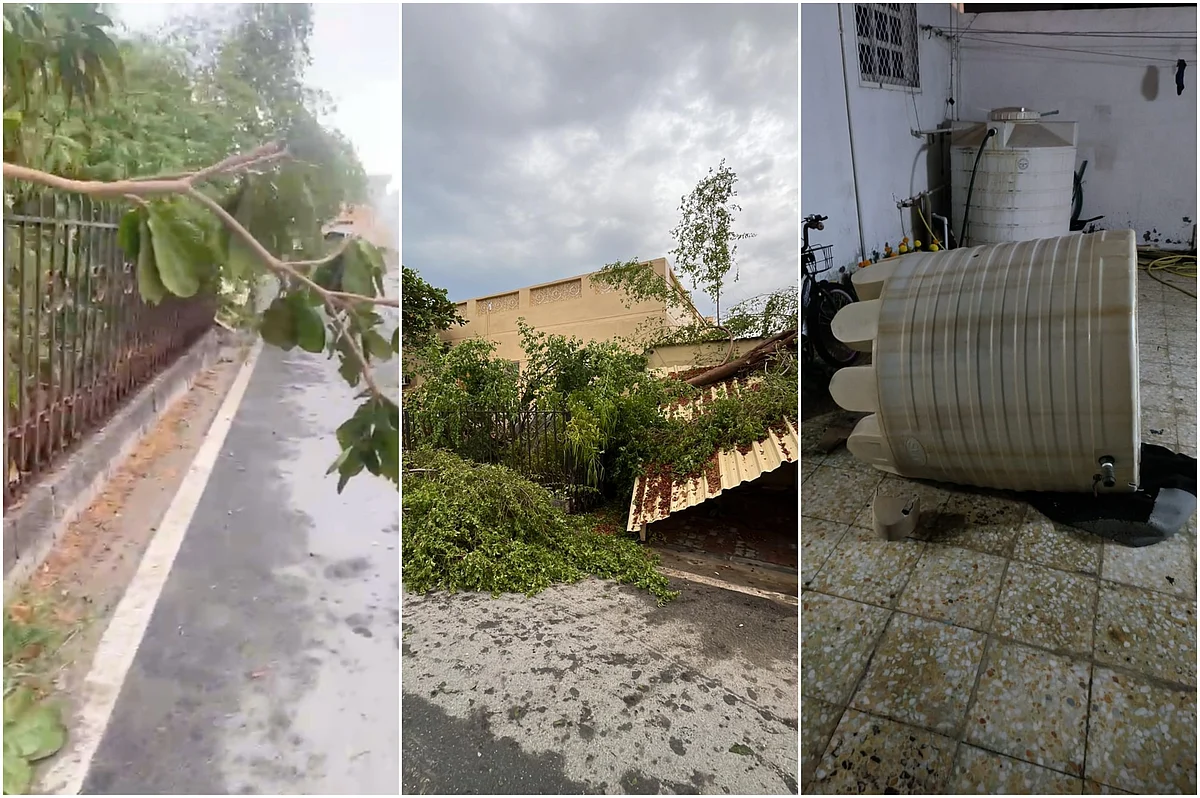 Stormy weather in UAE: Residents wake up to damaged cars, uprooted trees