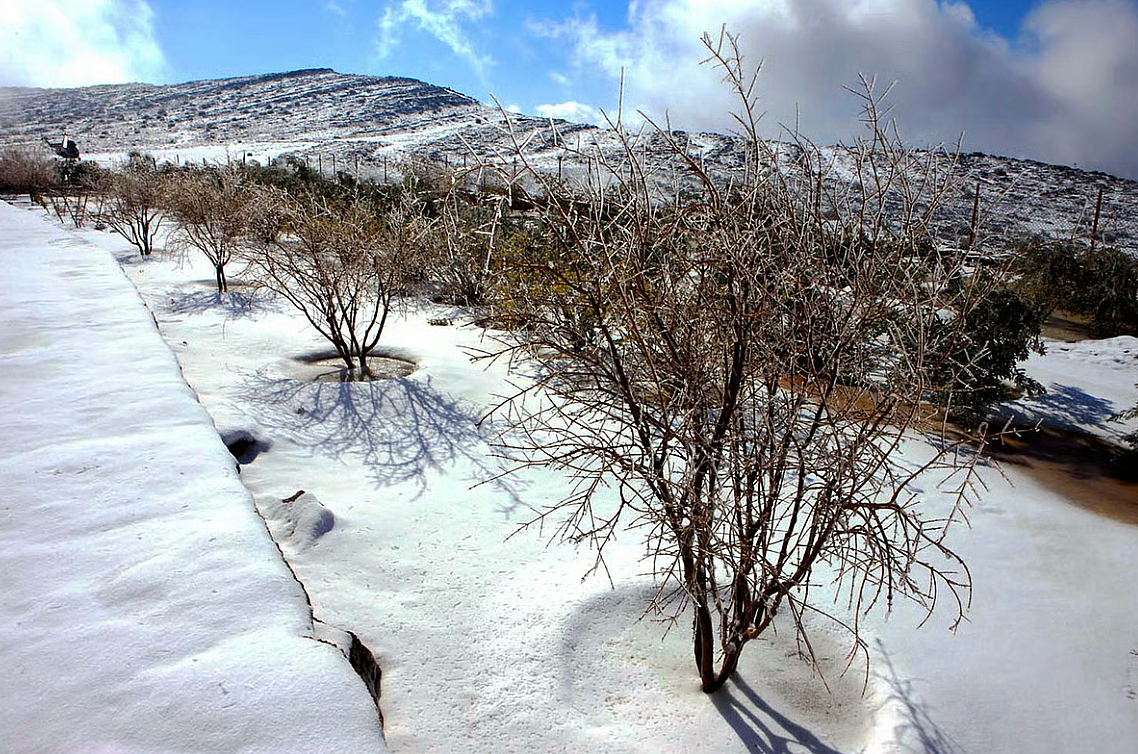 Will it snow in UAE? What expert says after rare snowfall in Saudi Arabia