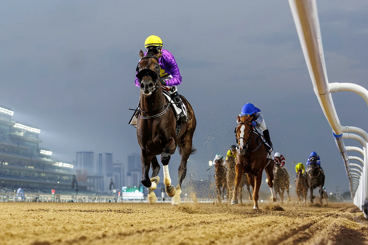 Bhupat Seemar's Six Speed is one of the leading contenders in the UAE 2000 Guineas Trial sponsored by Churchill Downs. - Photo ERA