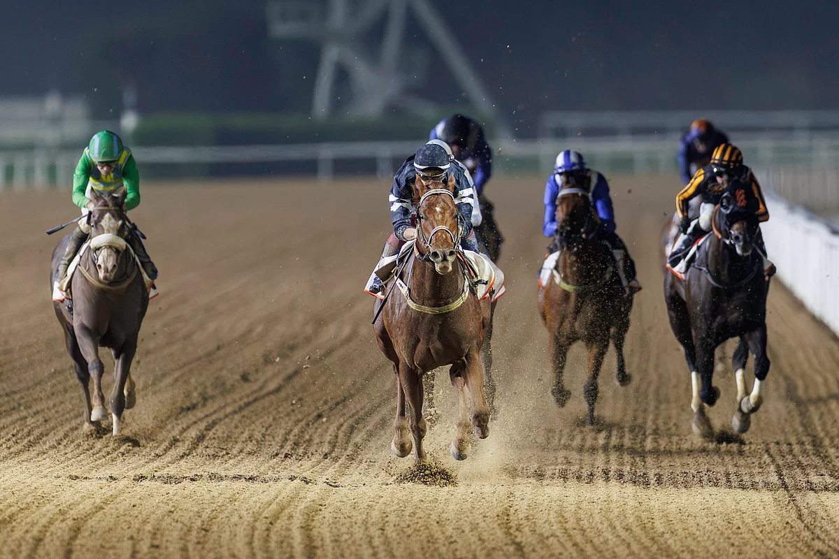 El Nasseeb (centre) defeats Colour Up, Mufasa and Dark Saffron in the Listed Al Garhoud Sprint on December 5 at Meydan Racecourse. Photo: ERA