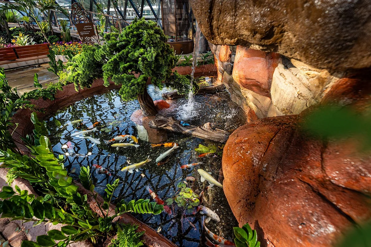 Butterfly Garden To Become Newest Indoor Wildlife | Gulf Insider - Indoor Wildlife Observation Areas