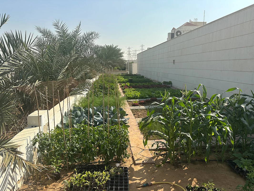 Photo: Ruqayya Al Qaydi