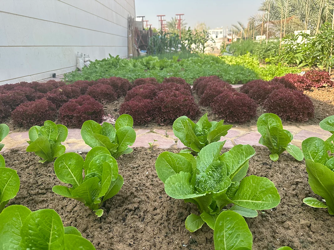 Photo: Ruqayya Al Qaydi