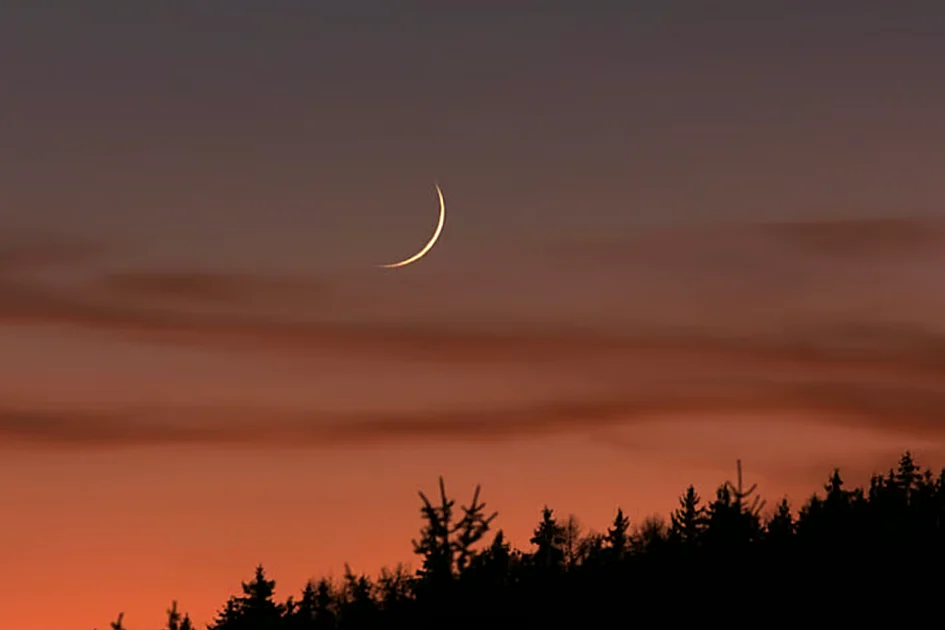 UAE announces January 19 as end of Rajab 1447 AH