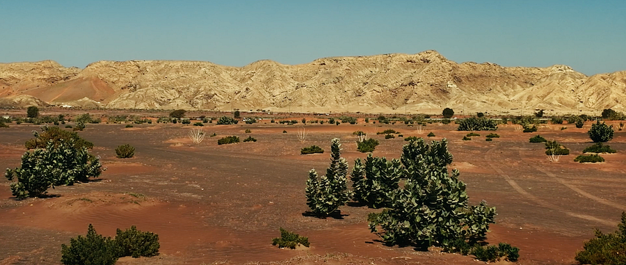 Sharjah launches Dh2 million Faya Research Grant; eligibility, funding explained