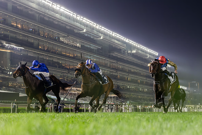 Dubai Racing Club unveils plan to launch global equine token marketplace
