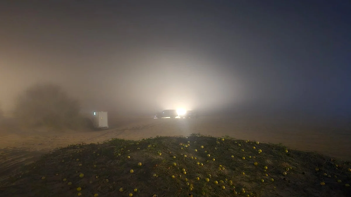 Farms stays to desert camps: How UAE residents spend weekends as temperatures near 0ºC