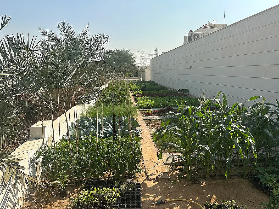 KT must-reads: A community garden we can feel good about