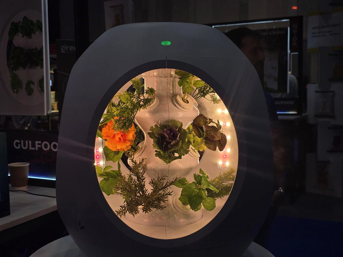 UAE-based indoor farming system grows plants with 98% less water, no soil