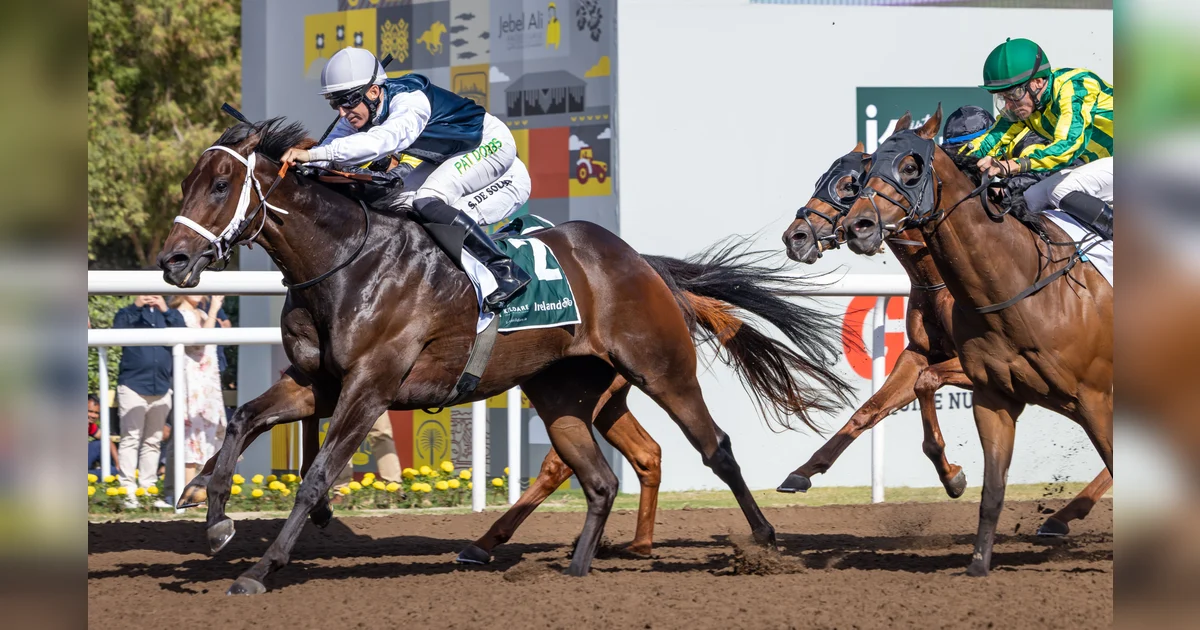 Jebel Ali's Irish Race Day strengthens UAE-Ireland racing ties ...