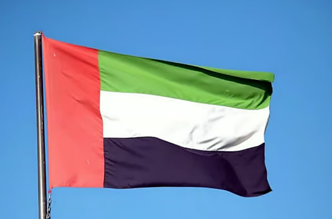 UAE condemns terrorist attack at Islamabad mosque as at least 30 dead