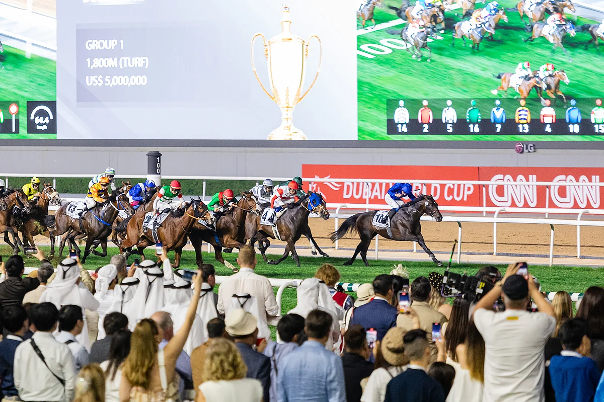 How racehorses are trained for the Dubai World Cup