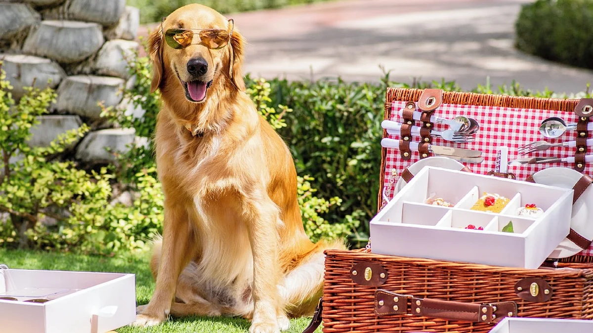 Valentine’s in the UAE for under Dh200: Free events, dinner deals and budget date ideas